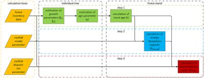Quantifying the long-term recovery of the protective effect of forests against rockfall after stand-replacing disturbances